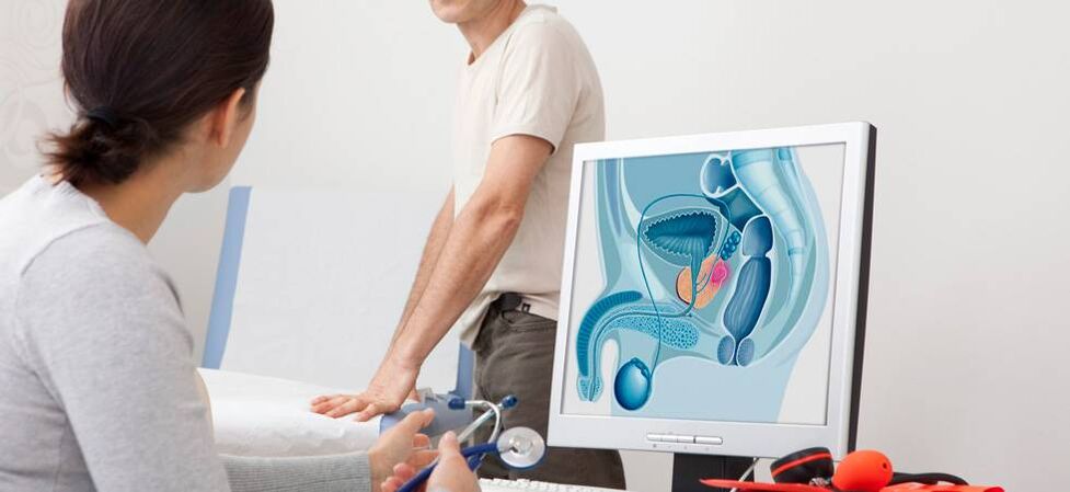 De dokter